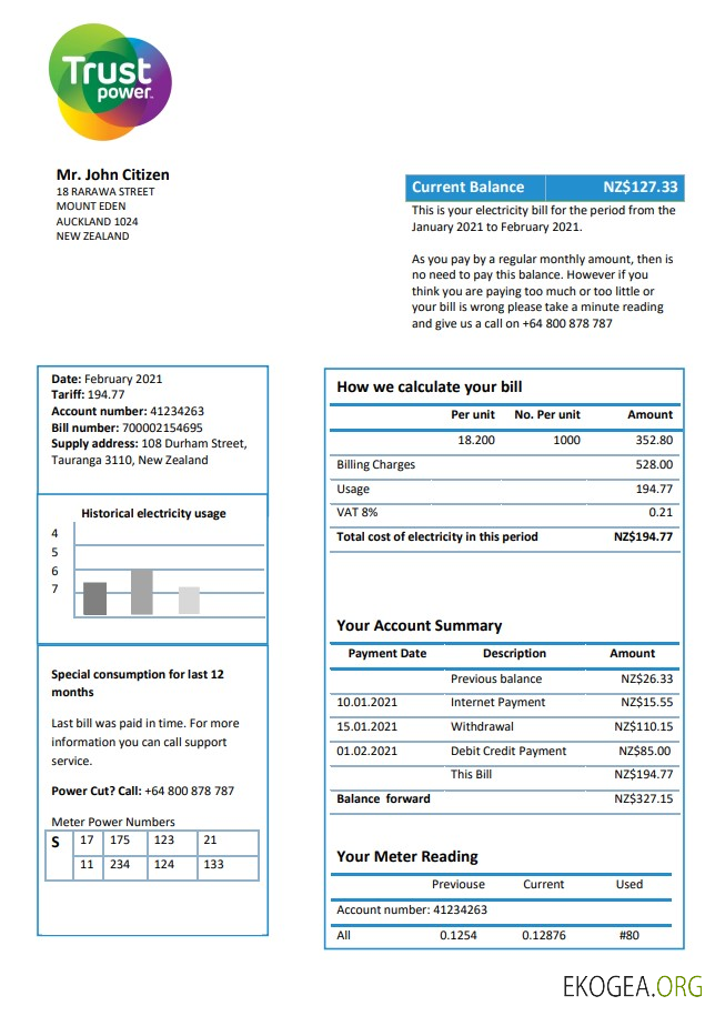 New Zealand Trustpower utility bill template in Word and PDF format